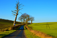 Country lane near Crombie