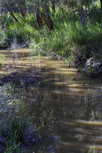 Stockyard Creek