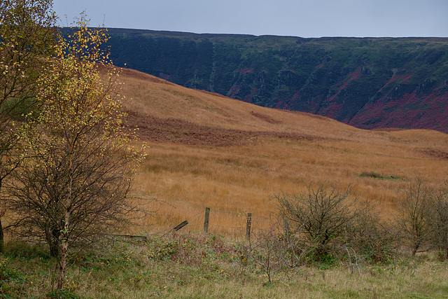 Torside Clough under grey skies