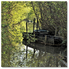 144 Barthes  ''Sous-bois sur l'eau...''