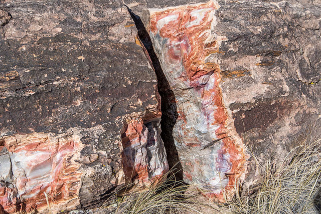 The Petrified Forest19, Arizona