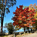 Herbst am See