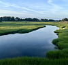 Marsh from train