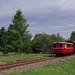 BÖ0029638