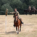 Cavalry practise