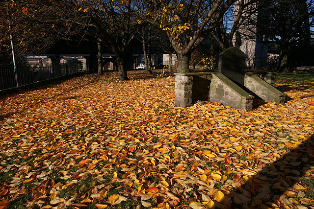 Autumn Colours In Gateshead