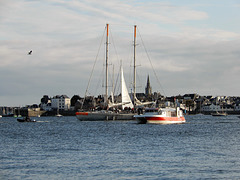 Tara est de retour port de LORIENT