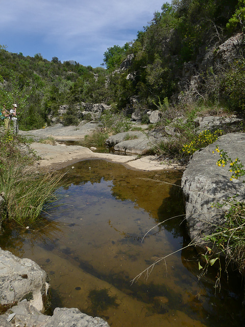 20220416 -18 Trtons Ardeche (115)