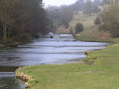 River Lathkill, near Over Haddon, Derbyshire