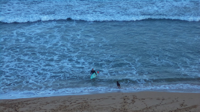 Logans Beach surfies