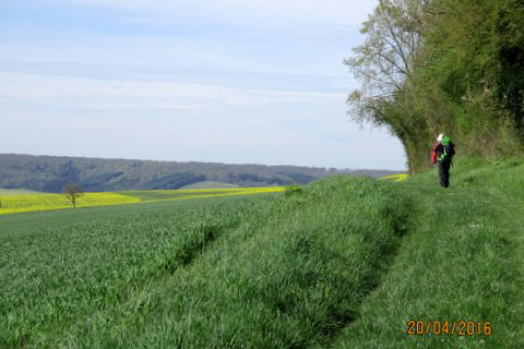 Paysage du Morvan (confins des départements de la Nièvre et du Cher, France)