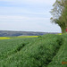 Paysage du Morvan (confins des départements de la Nièvre et du Cher, France)