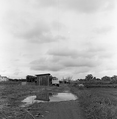 Hut and puddle