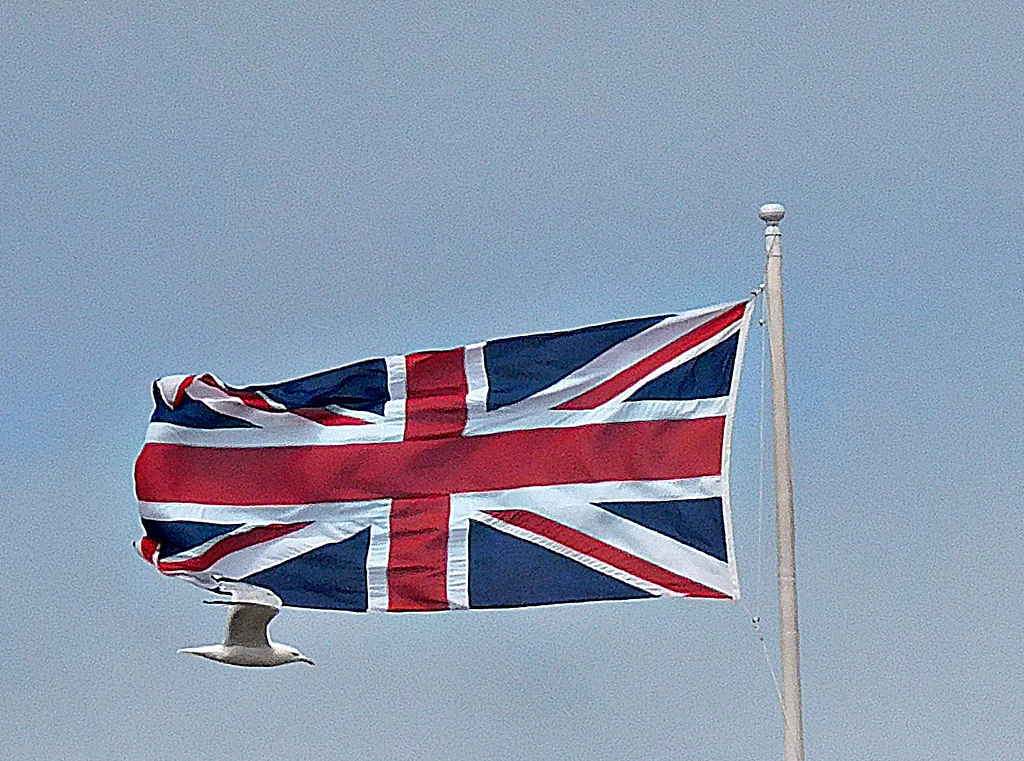 Seagull and flag at Margate