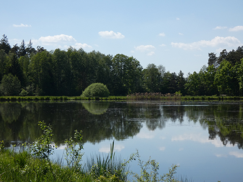 Charlottenhofer Weihergebiet