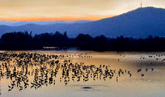 Lake Hule, Israel, at sunset.