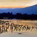 Lake Hule, Israel, at sunset.