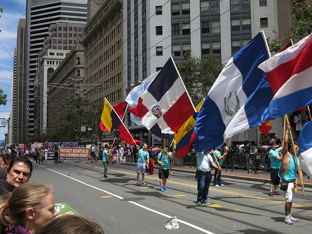 San Francisco Pride Parade 2015 (1430)