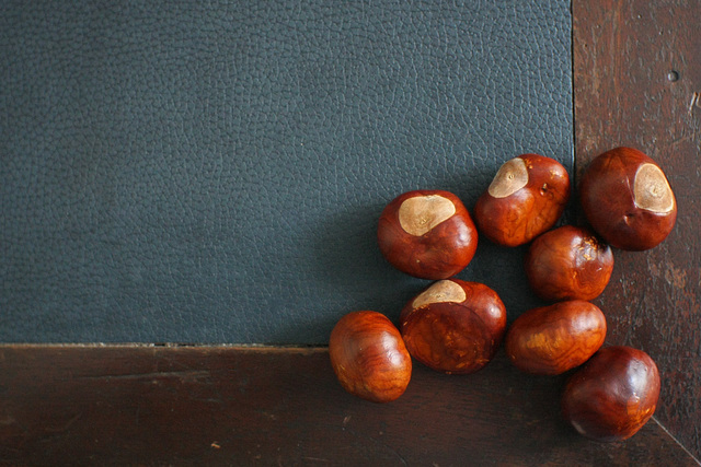 Desk Conkers I