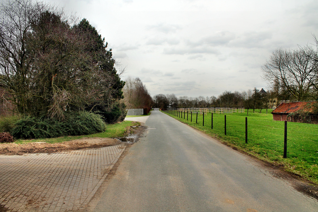 Auestraße (Dinslaken) / 4.03.2017