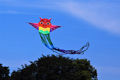 A colourful kite!  A wise Owl..!