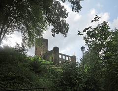 Burg Metternich