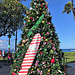 Christmas at Hawaii