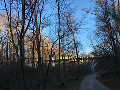 IMG 4068