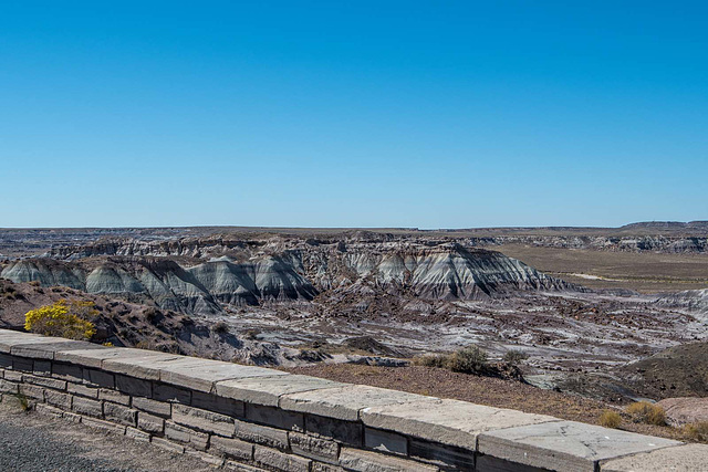 The Petrified Forest29, Arizona