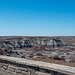 The Petrified Forest29, Arizona