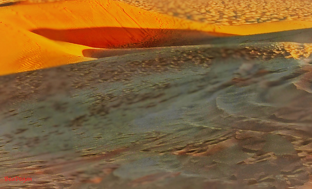 Contrasti : Dune del deserto Rub al Khalid-Oman