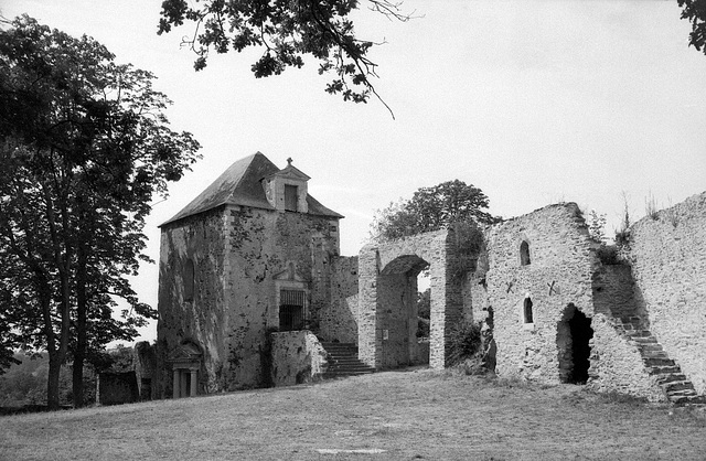 Château de la Turmelière