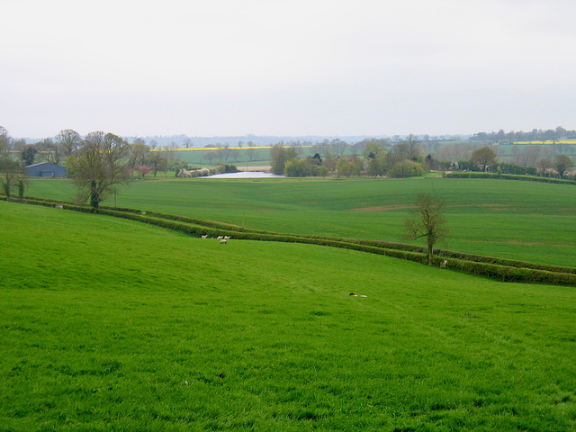 Looking towards the moat at Stoneton Manor from near the Berryhill Trig Point