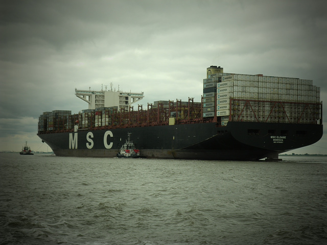 MSC ELOANE