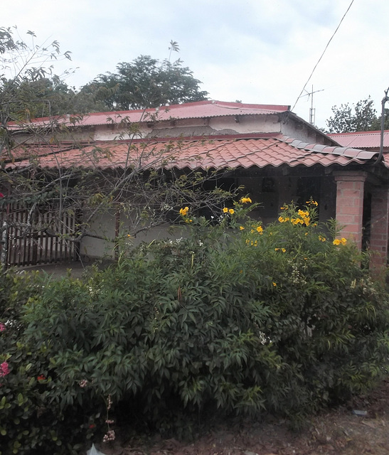 Résidence fleurie / Flowery house