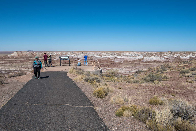 The Petrified Forest33