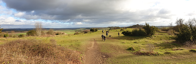 Danebury Iron Age Hillfort