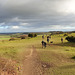 Danebury Iron Age Hillfort