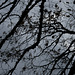 DSCF6043