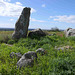 Dolmen de la Peña Hincada