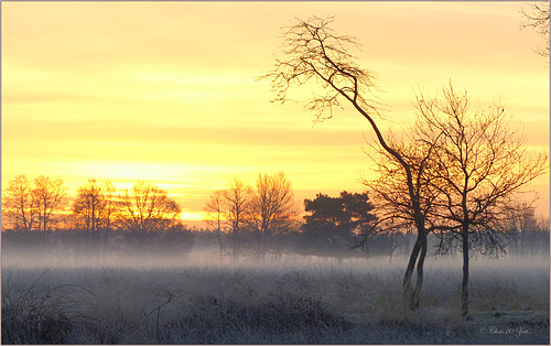 Another Scenery from that beautiful Day...