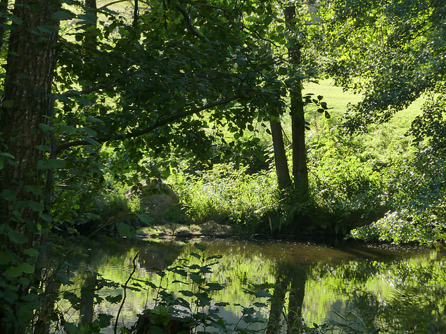 20180910 -15 Randos solo Prévenchères (Lozère-Villefort) (1) al