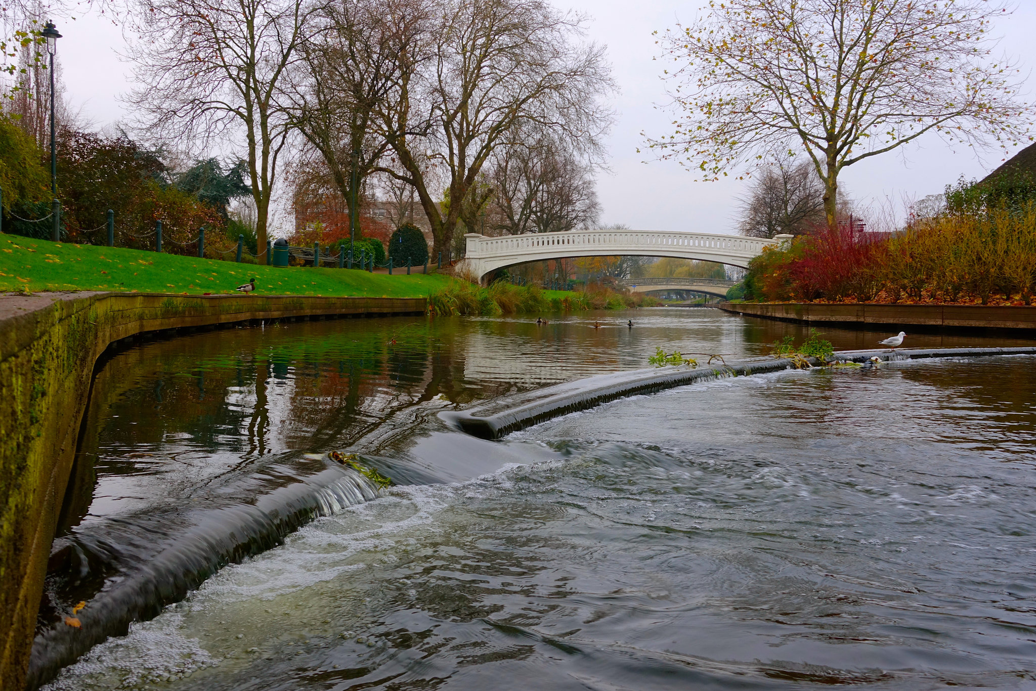 River Sow flowing through Victoria Park