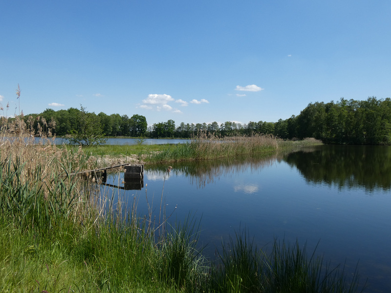 Charlottenhofer Weihergebiet