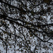 DSCF6049