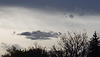 clouds with trees - arrangement of black and gray