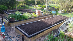 new raised beds