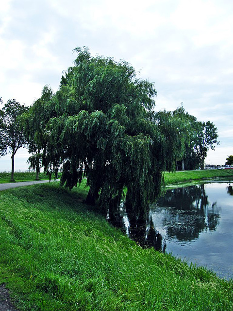 Holland und Flandern 2019