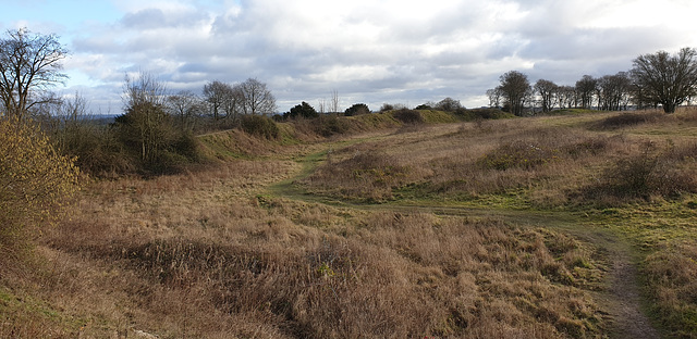 Danebury Iron Age Hillfort