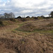 Danebury Iron Age Hillfort